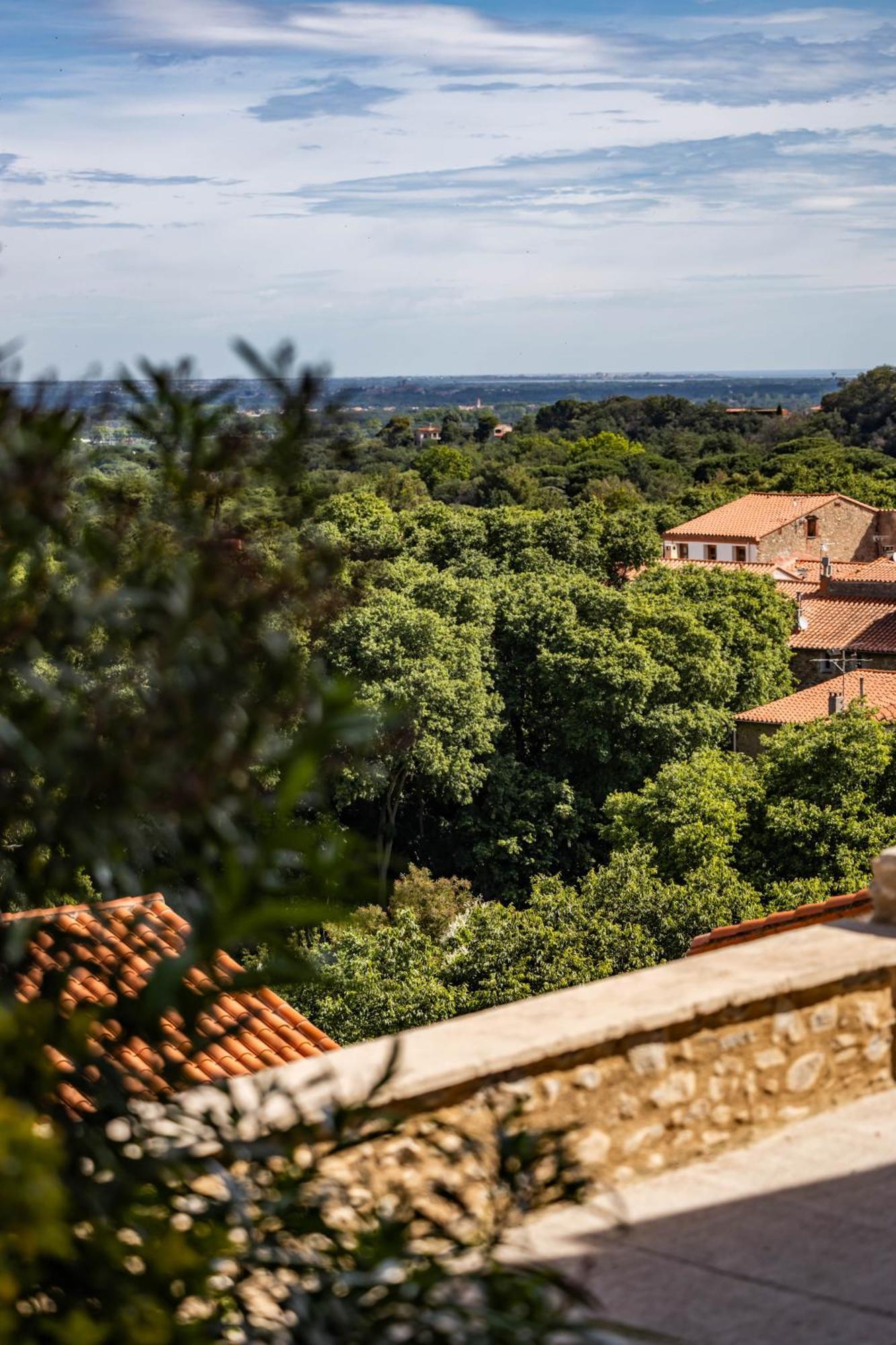 Vue 180°, Superbe Appartement Cocooning ! Laroque-des-Albères 외부 사진
